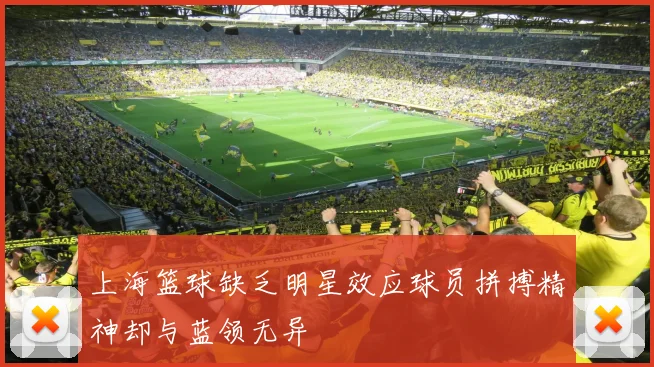 上海篮球缺乏明星效应球员拼搏精神却与蓝领无异